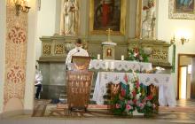 DSC07354-Copy