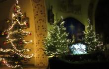 IMG_0063-Copy
