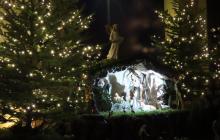 IMG_0071-Copy