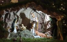 IMG_0100-Copy