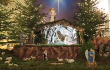 IMG_0101-Copy