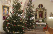 IMG_0153-Copy