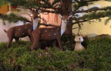IMG_0298-Copy
