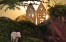 IMG_0301-Copy