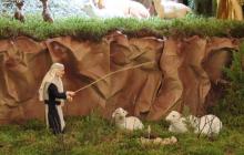 IMG_0307-Copy