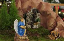 IMG_0317-Copy