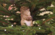 IMG_0322-Copy