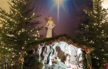 IMG_0410-Copy