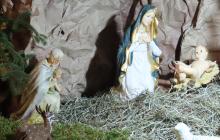 IMG_0420-Copy