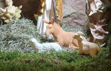 IMG_0439-Copy