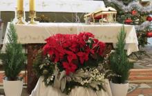 IMG_0489-Copy