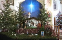 IMG_0667-Copy