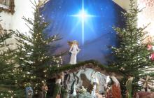 IMG_0668-Copy