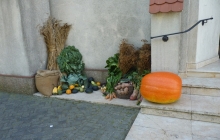 P1050113