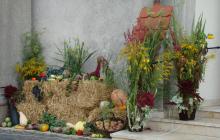 DSC05877