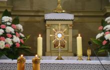 DSC01745-Copy