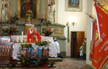 217 (Copy)