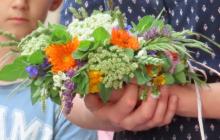 IMG_4857-Copy