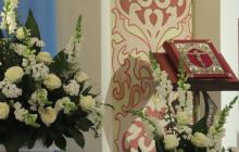IMG_3628-Copy