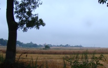 DSC04722