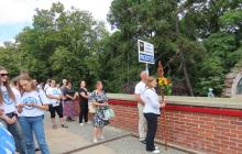IMG_6350-Copy