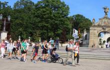 IMG_6526-Copy