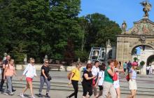 IMG_6532-Copy