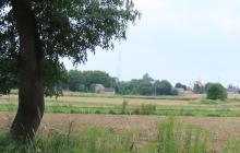 IMG_6807-Copy