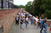 DSC07541-Copy