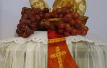 DSC08842-Copy