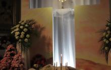 IMG_2023-Copy