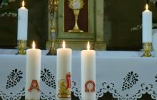 DSC07139-Copy