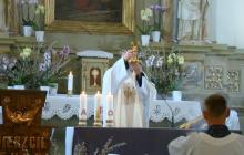 DSC07176-Copy